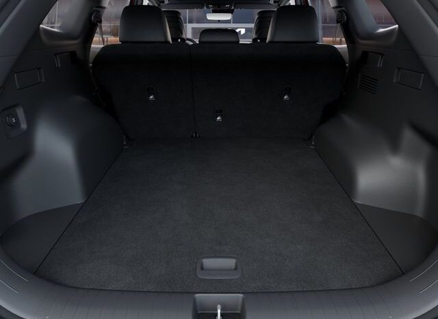 
 Kia Sportage full									