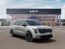 
 Kia Carnival Hybrid full									