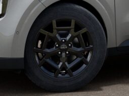 
 Kia Carnival Hybrid full									