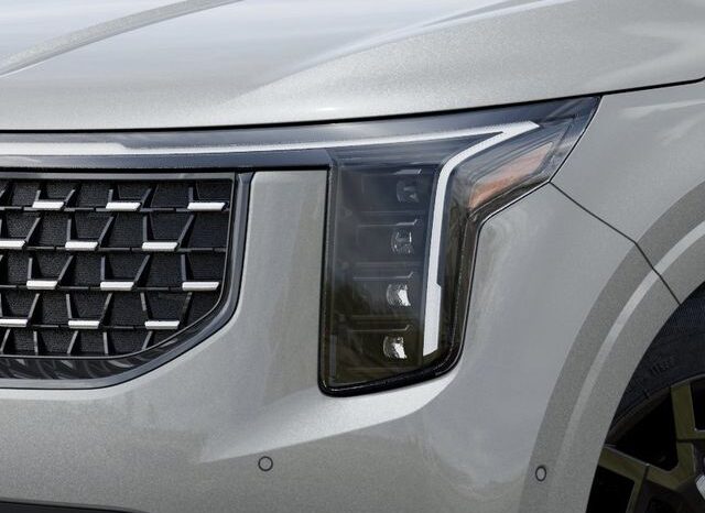 
 Kia Carnival Hybrid full									