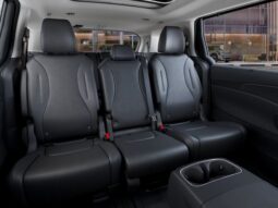 
 Kia Carnival Hybrid full									