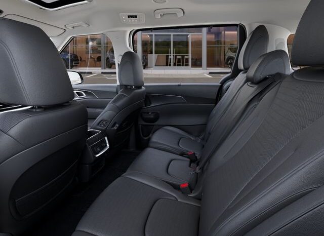 
 Kia Carnival Hybrid full									