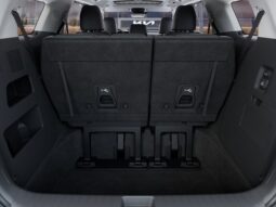 
 Kia Carnival Hybrid full									