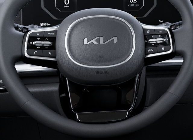 
 Kia Carnival Hybrid full									