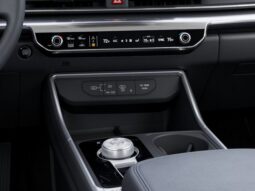 
 Kia Carnival Hybrid full									