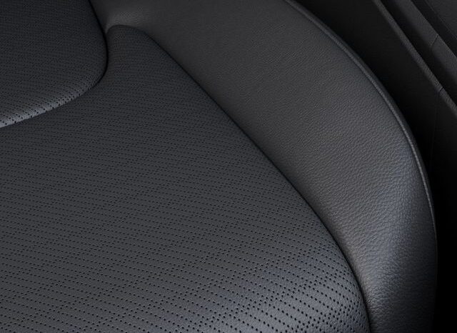 
 Kia Carnival Hybrid full									