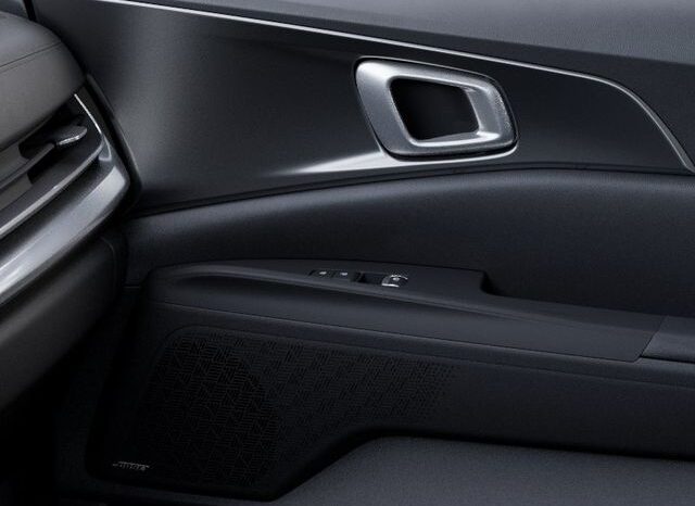 
 Kia Carnival Hybrid full									