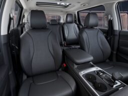 
 Kia Carnival full									