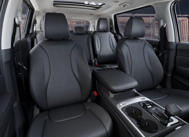 
 Kia Carnival full									