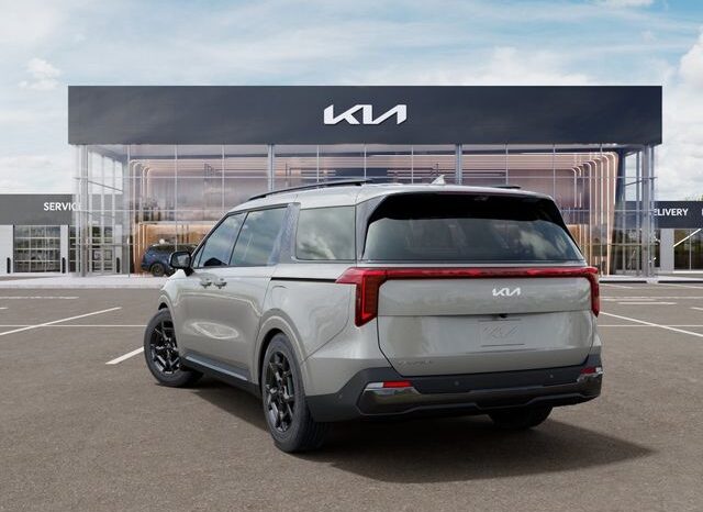 
 Kia Carnival full									
