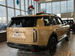
 Kia Telluride full									