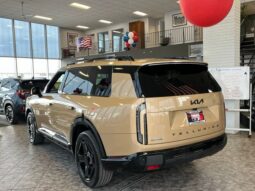 
 Kia Telluride full									