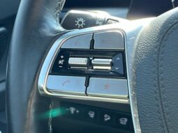 
 Kia Telluride full									