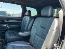
 Kia Telluride full									