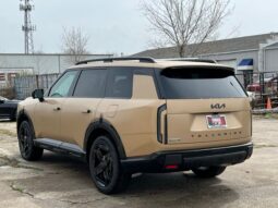 
 Kia Telluride full									