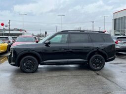 
 Kia Telluride full									