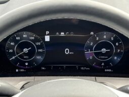 
 Kia Telluride full									
