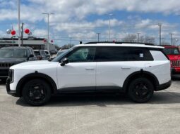
 Kia Telluride full									