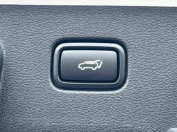 
 Kia Sportage full									