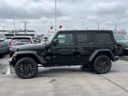 
 Jeep Wrangler full									