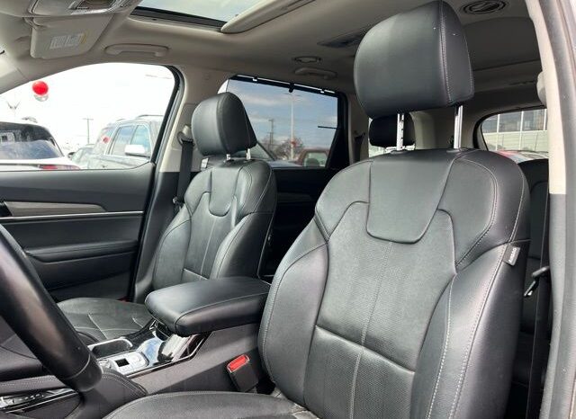 
 Kia Telluride full									
