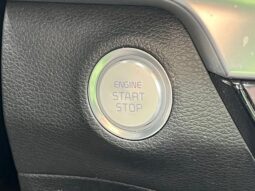 
 Kia Telluride full									
