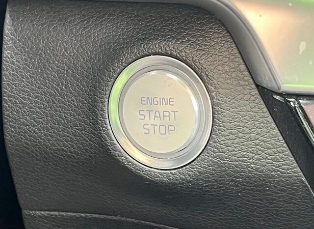 
 Kia Telluride full									