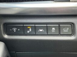 
 Kia Telluride full									