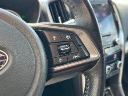 
 Subaru Ascent full									