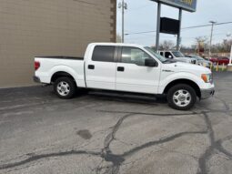 
 Ford F-150 full									