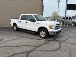 
 Ford F-150 full									