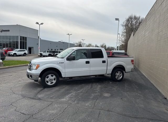 
 Ford F-150 full									