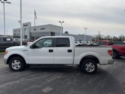 
 Ford F-150 full									