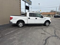 
 Ford F-150 full									