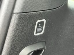 
 Jeep Grand Wagoneer full									