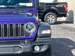 
 Jeep Wrangler full									