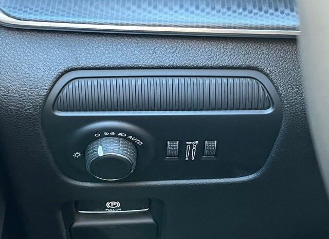 
 Jeep Grand Wagoneer full									