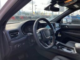 
 Dodge Durango full									