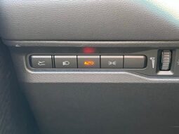 
 Dodge Charger full									
