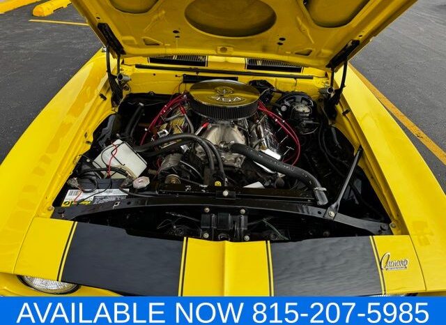 
 Chevrolet Camaro full									