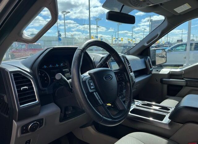 
 Ford F-150 full									