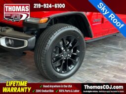 
 Jeep Wrangler full									