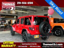
 Jeep Wrangler full									
