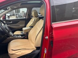 
 Hyundai Santa Fe full									