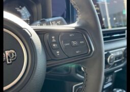 
 Jeep Wrangler full									