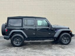 
 Jeep Wrangler full									