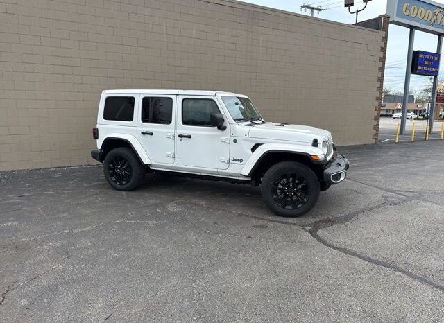 
 Jeep Wrangler full									