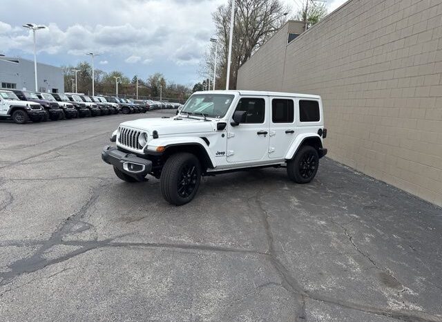 
 Jeep Wrangler full									