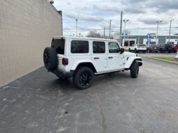
 Jeep Wrangler full									