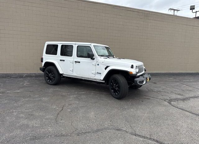 
 Jeep Wrangler full									